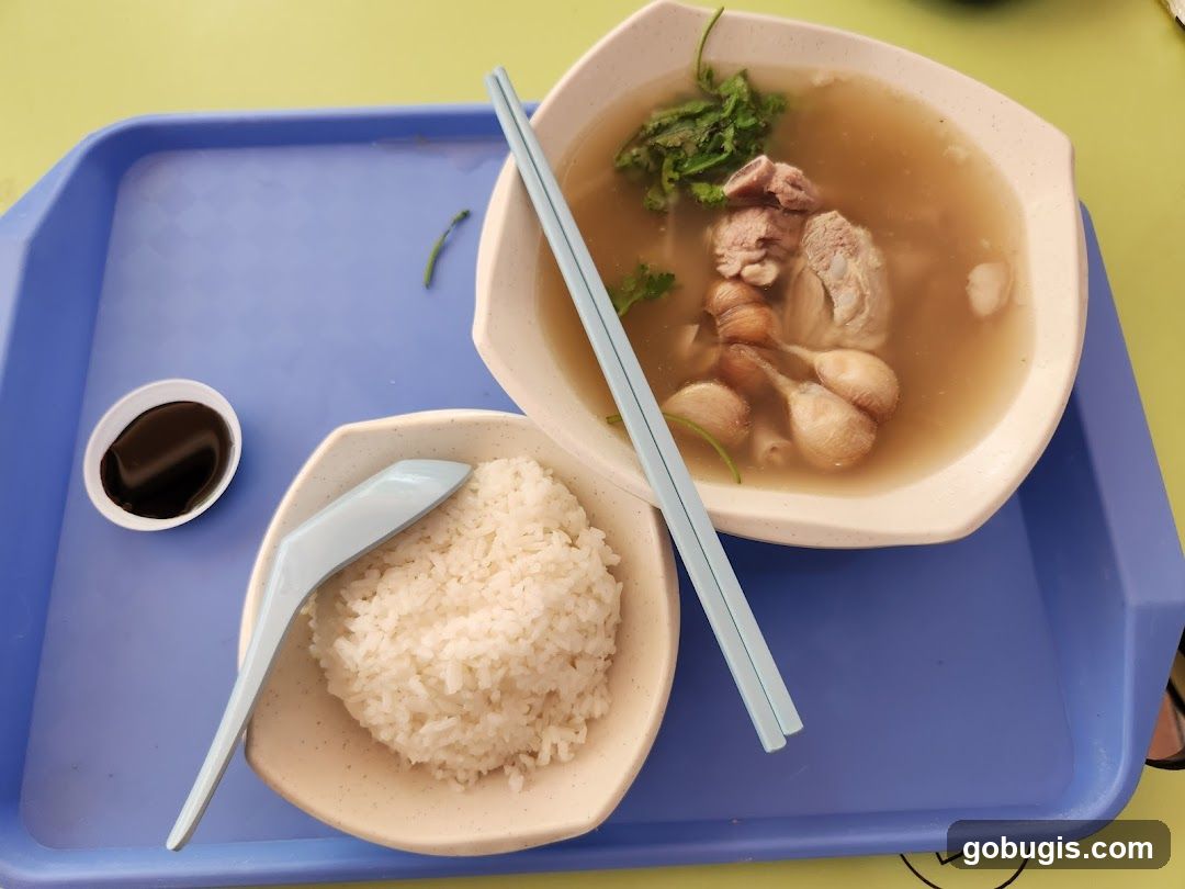 Pork Rib Soup with Rice