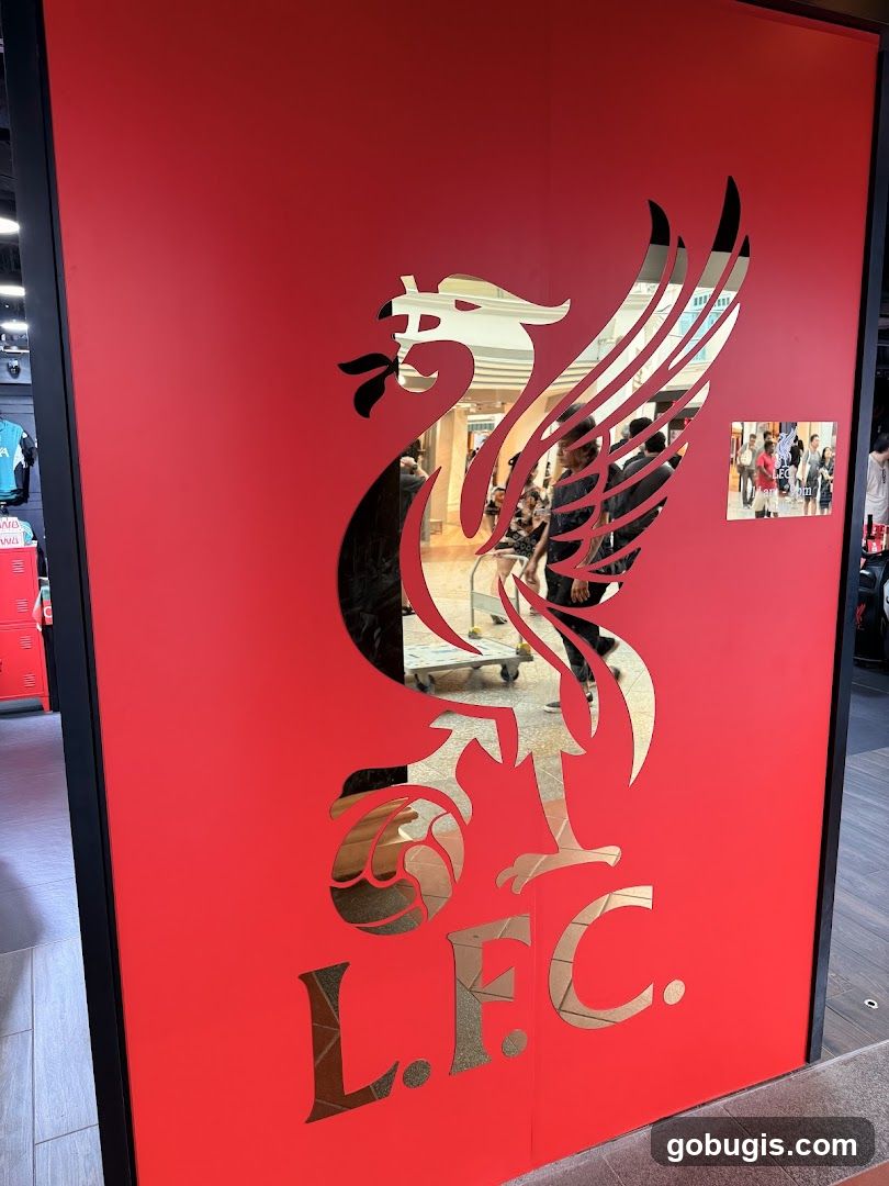 Liverpool FC Logo Display