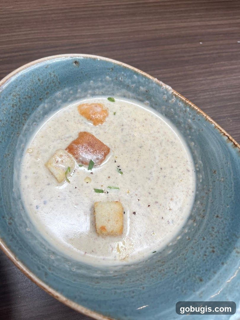 Creamy Soup with Croutons