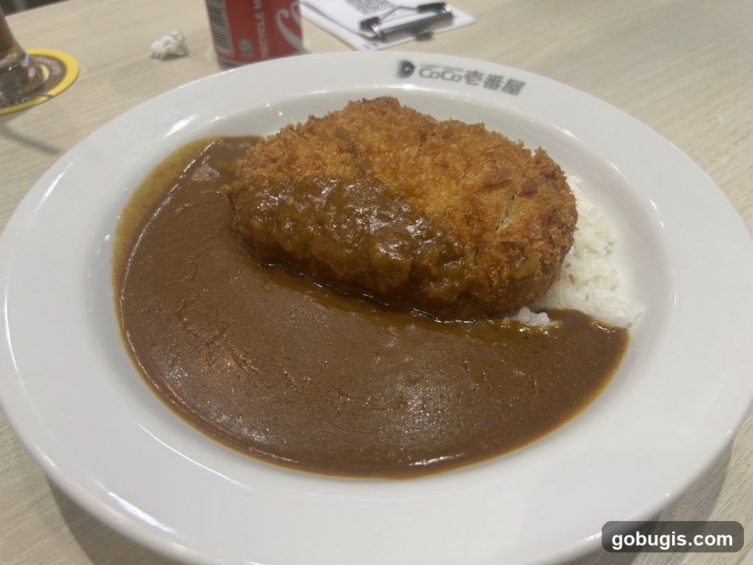 Japanese Curry with Fried Cutlet