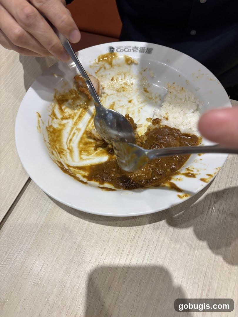 Partially Eaten Curry Rice