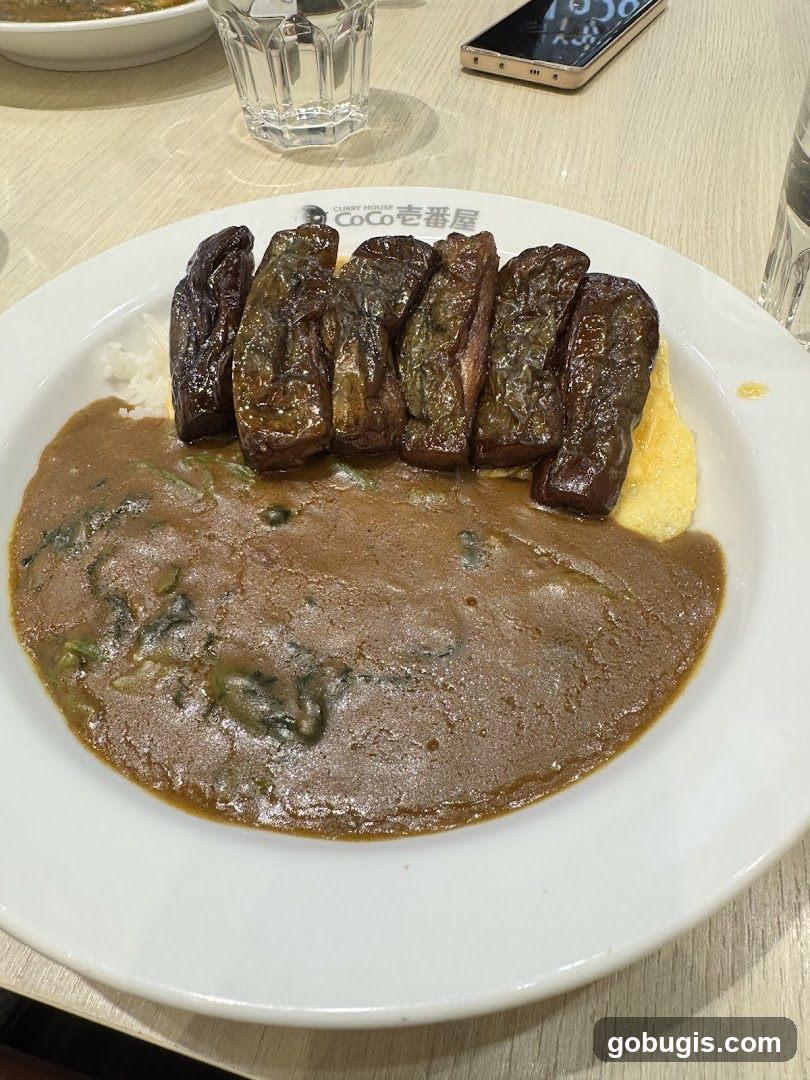 Curry with Eggplant and Omelet