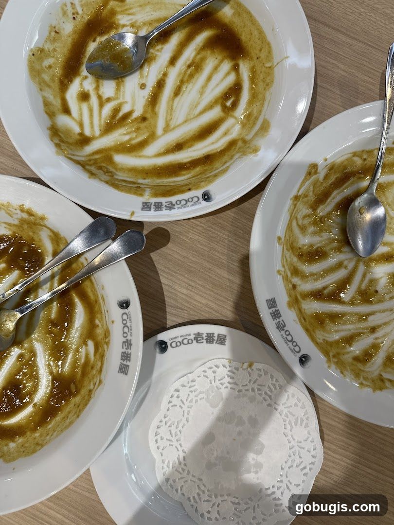 Empty Curry Plates