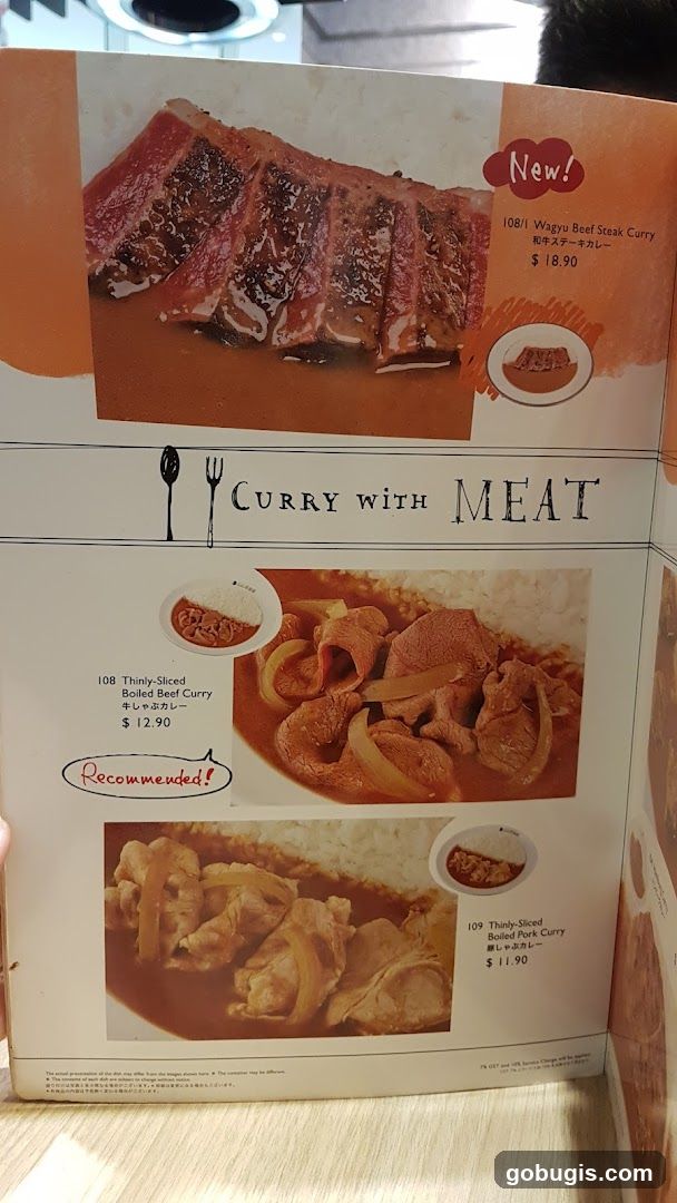 Curry with Meat