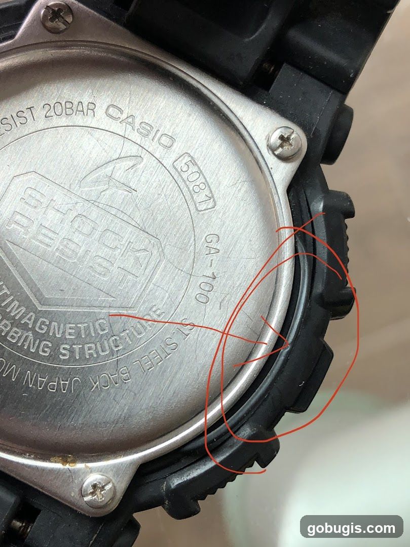 Watch Back