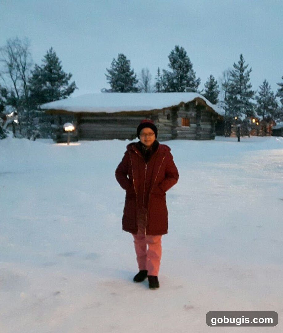 Person in a snowy landscape in front of a log cabin