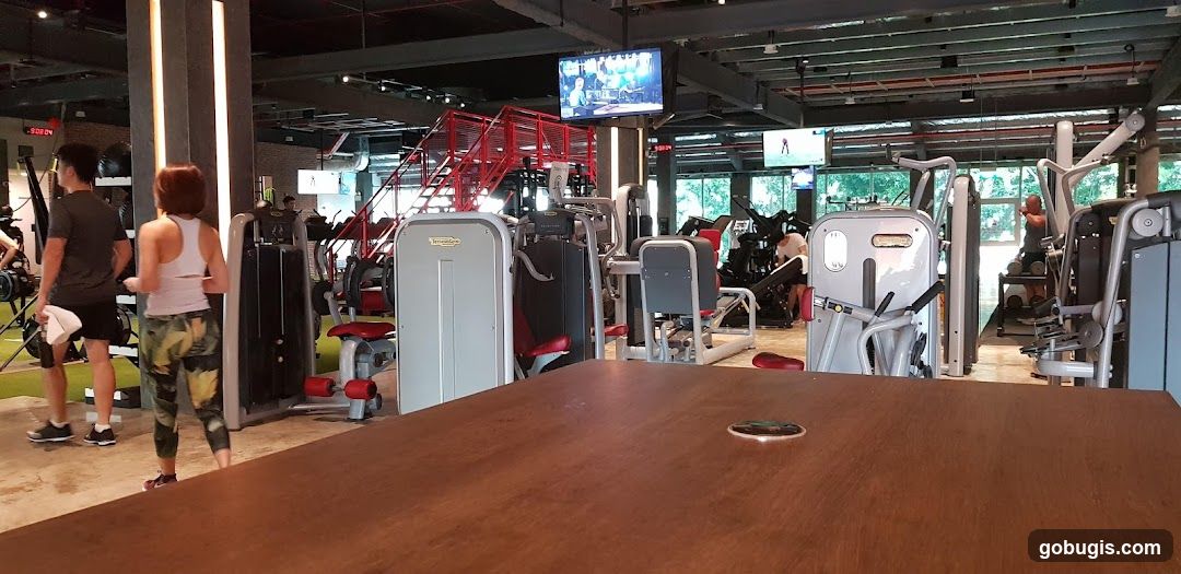 Gym Interior
