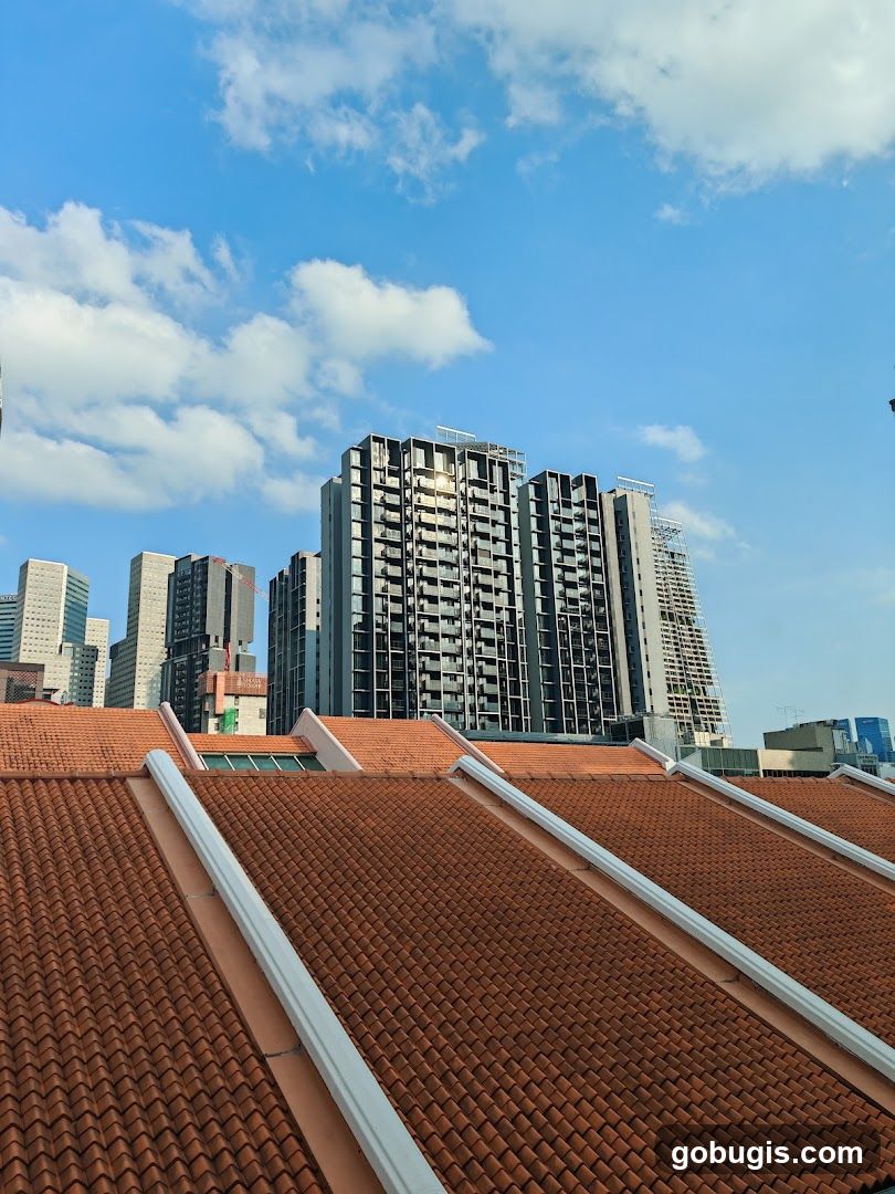 Rooftops and Skyscrapers