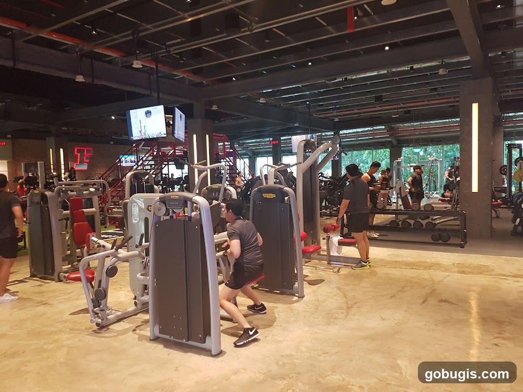 Gym Interior