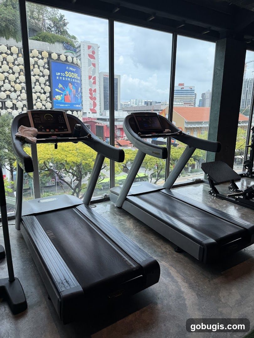 Gym Treadmills with City View