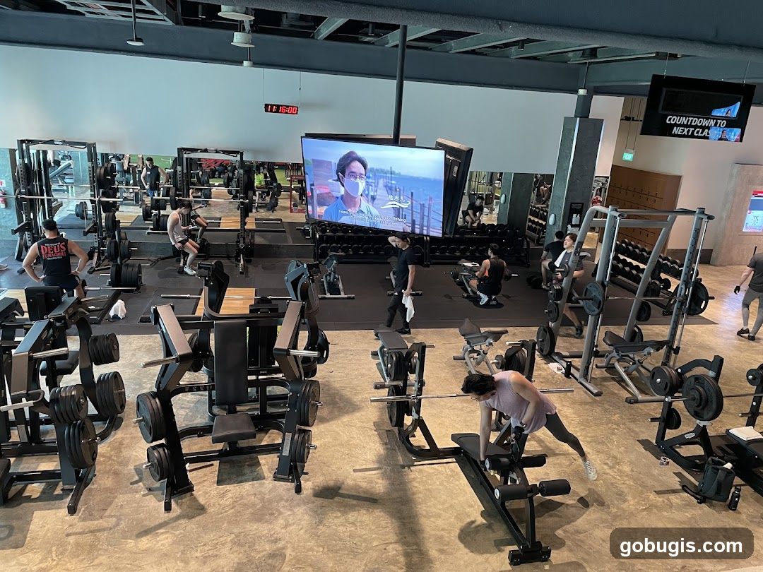 Gym Interior