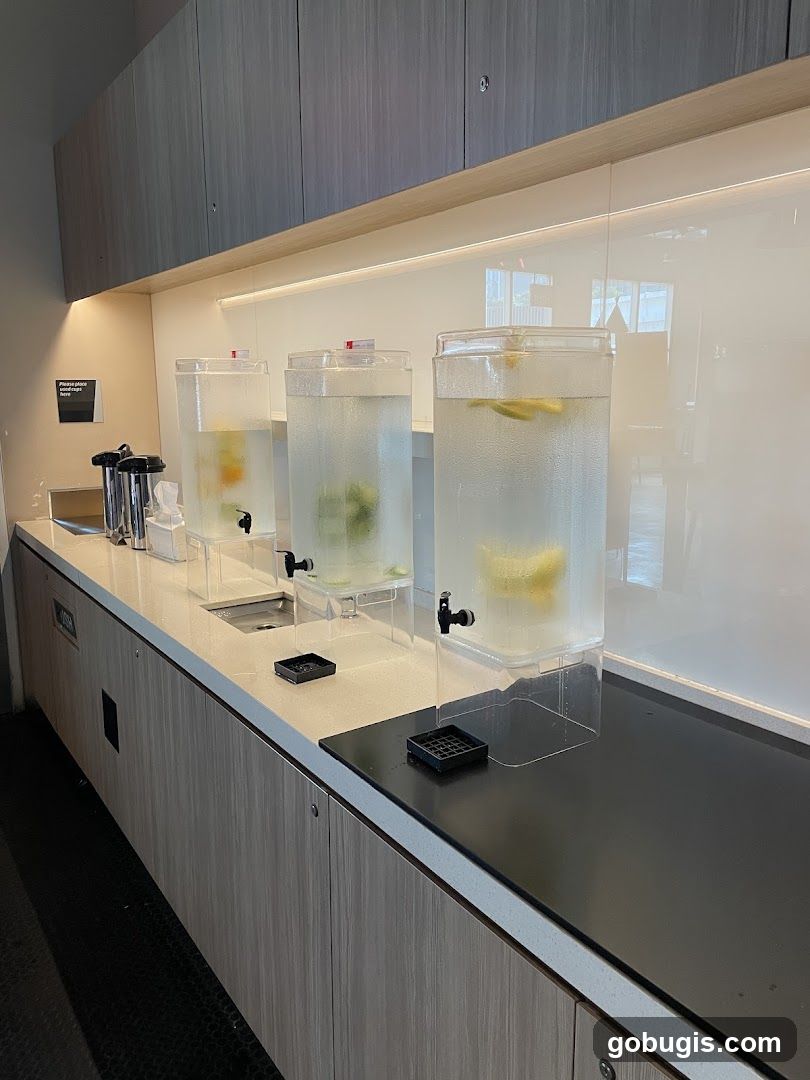 Infused Water Station