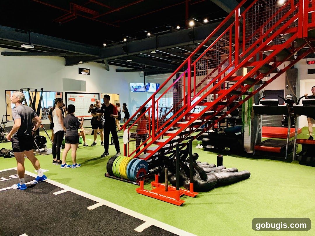 Gym Interior with Fitness Equipment