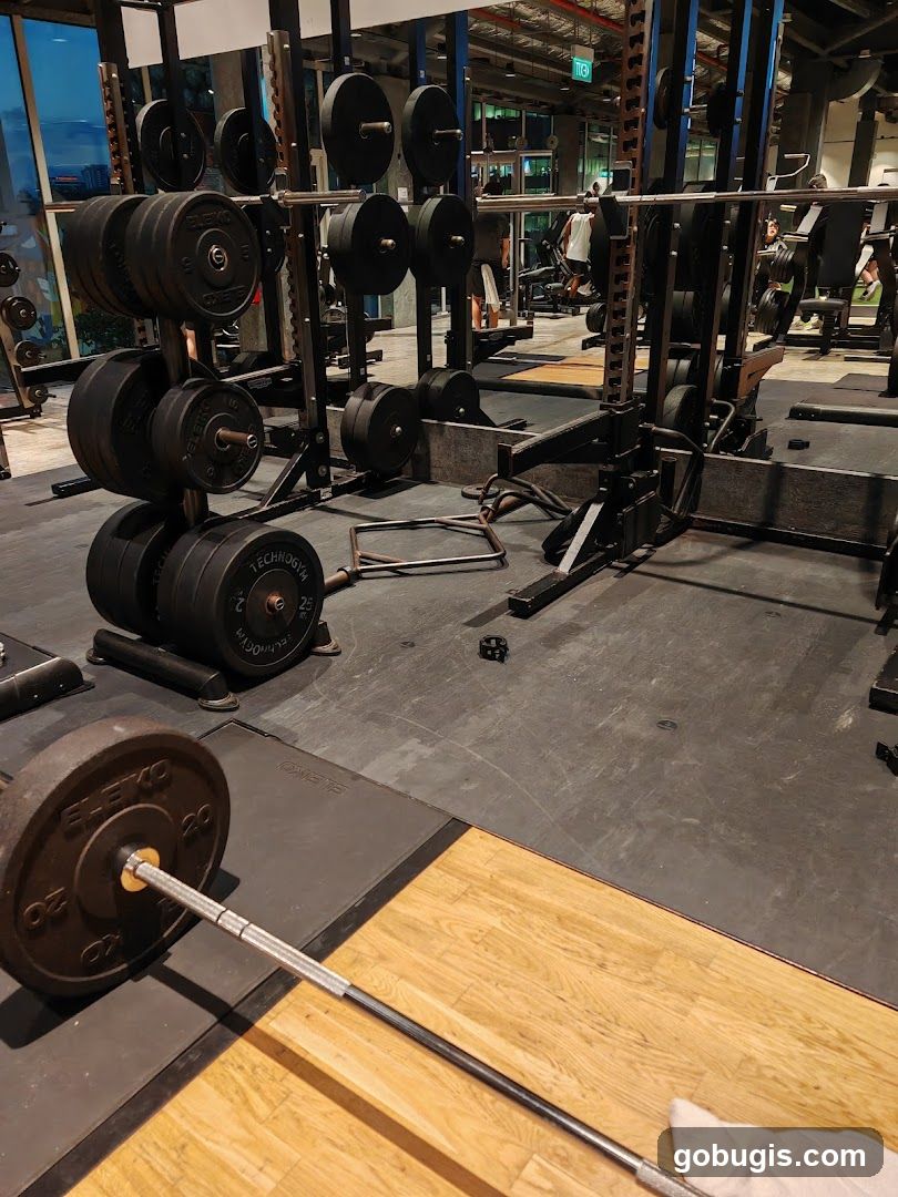 Gym Weight Racks