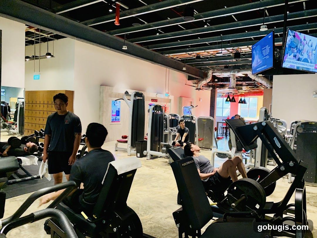 Gym Interior with People Working Out