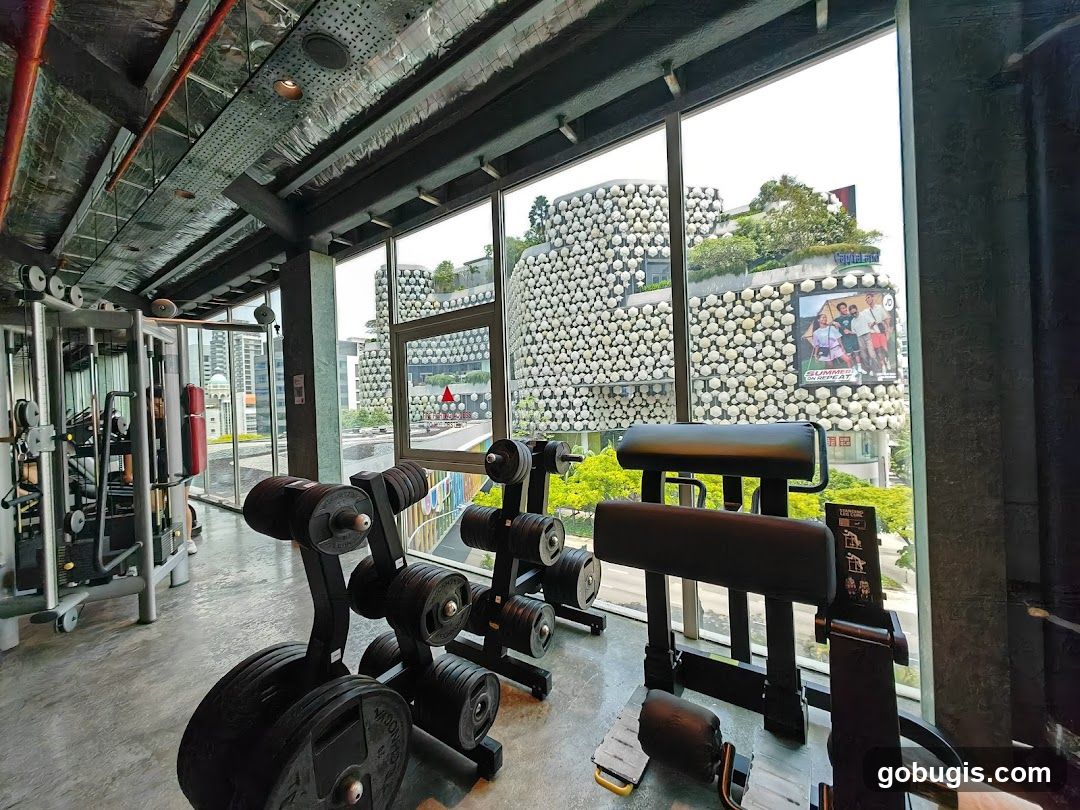 Gym Interior with City View