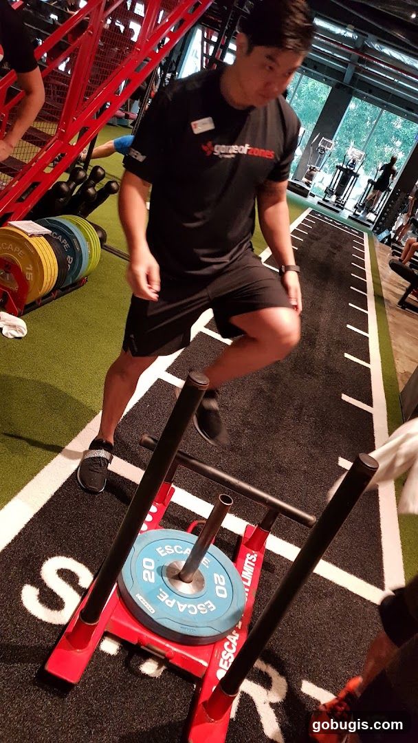 Gym training session