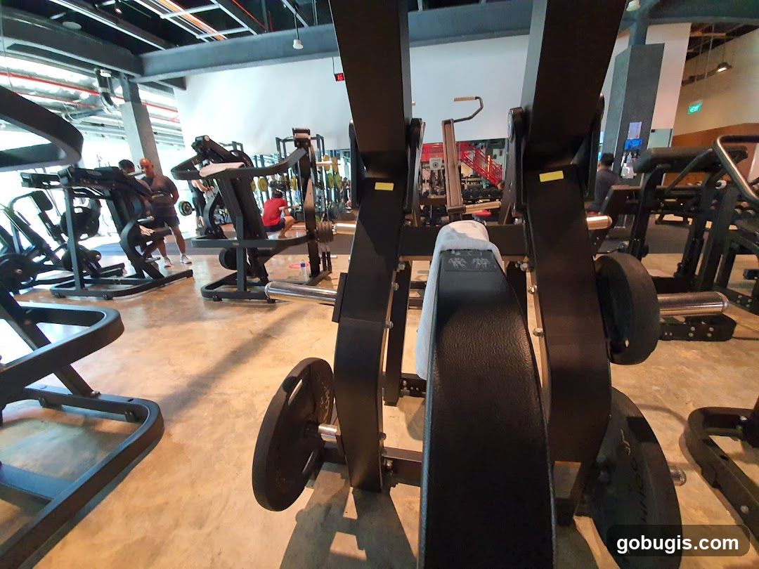 Gym Interior