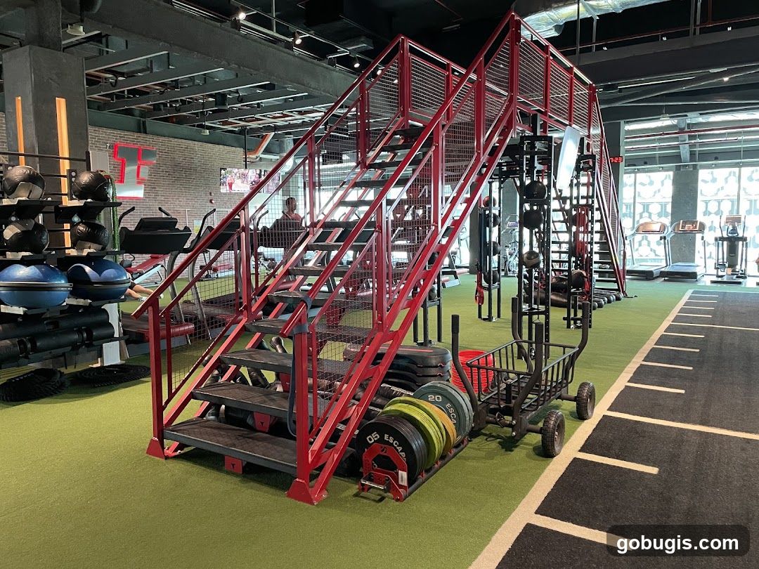 Gym Interior with Training Equipment