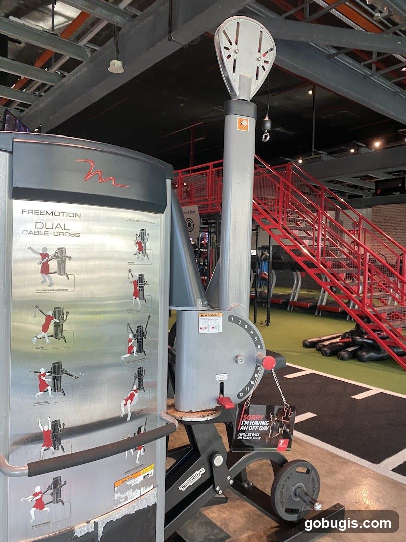 Gym Equipment