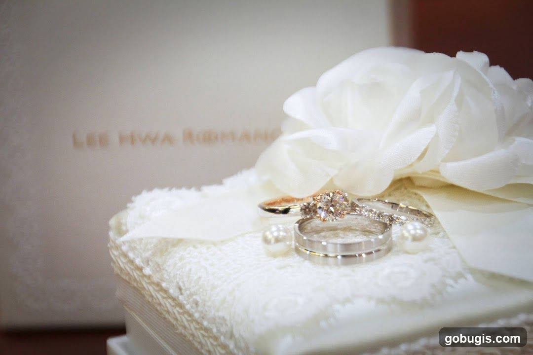 Wedding Rings on Lace Pillow