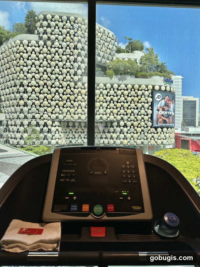 Treadmill View of City Buildings
