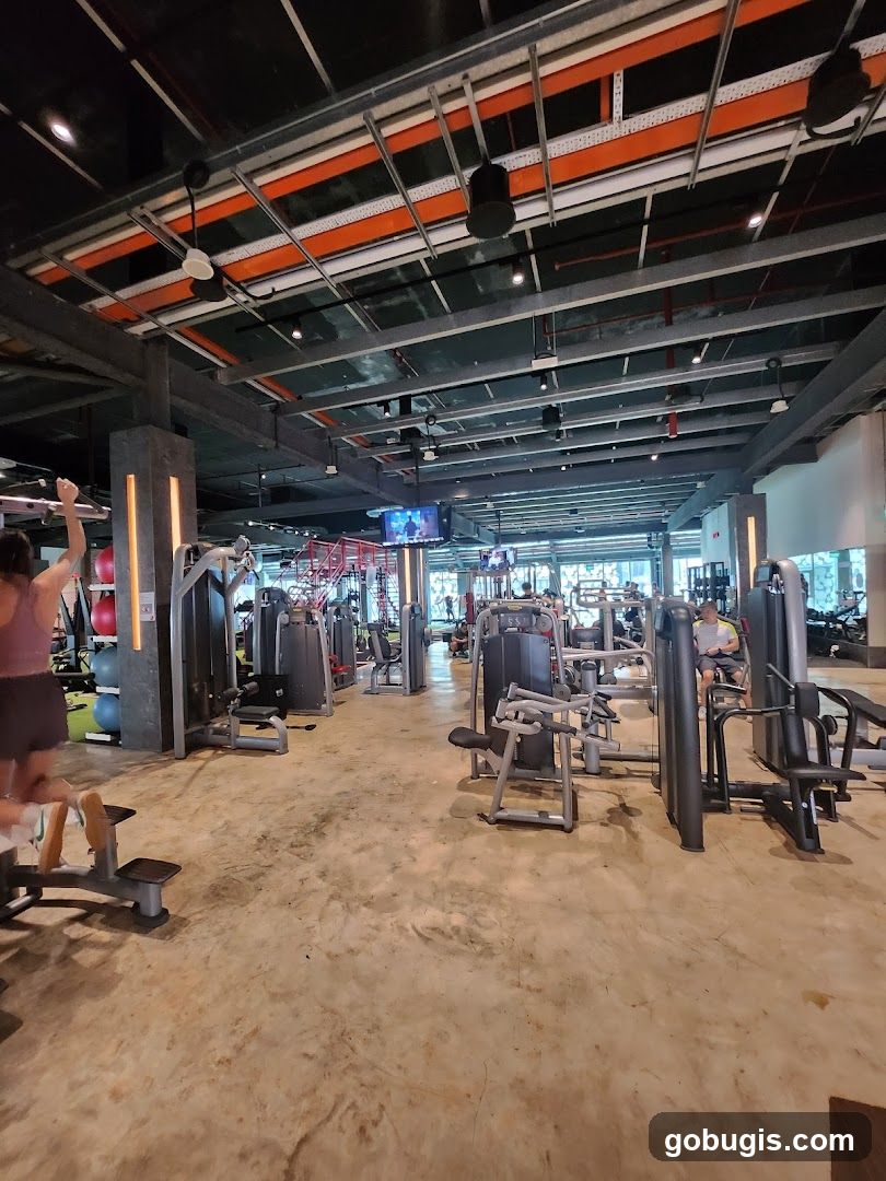 Gym Interior