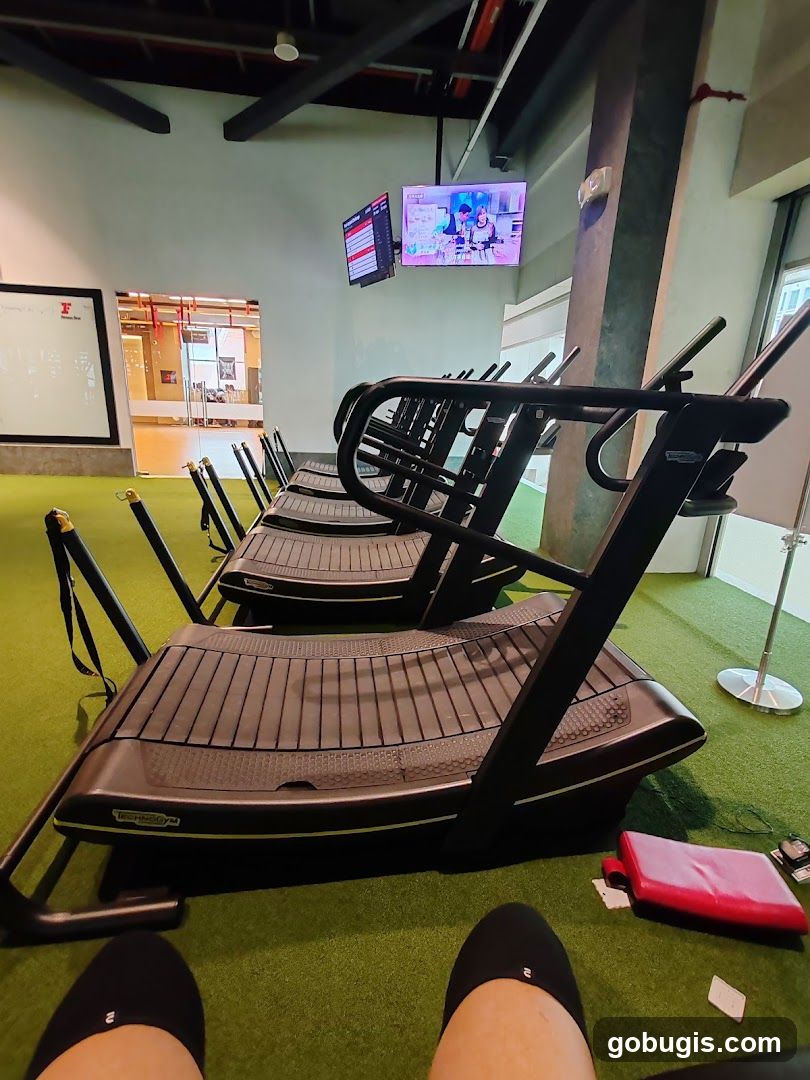 Gym Treadmills
