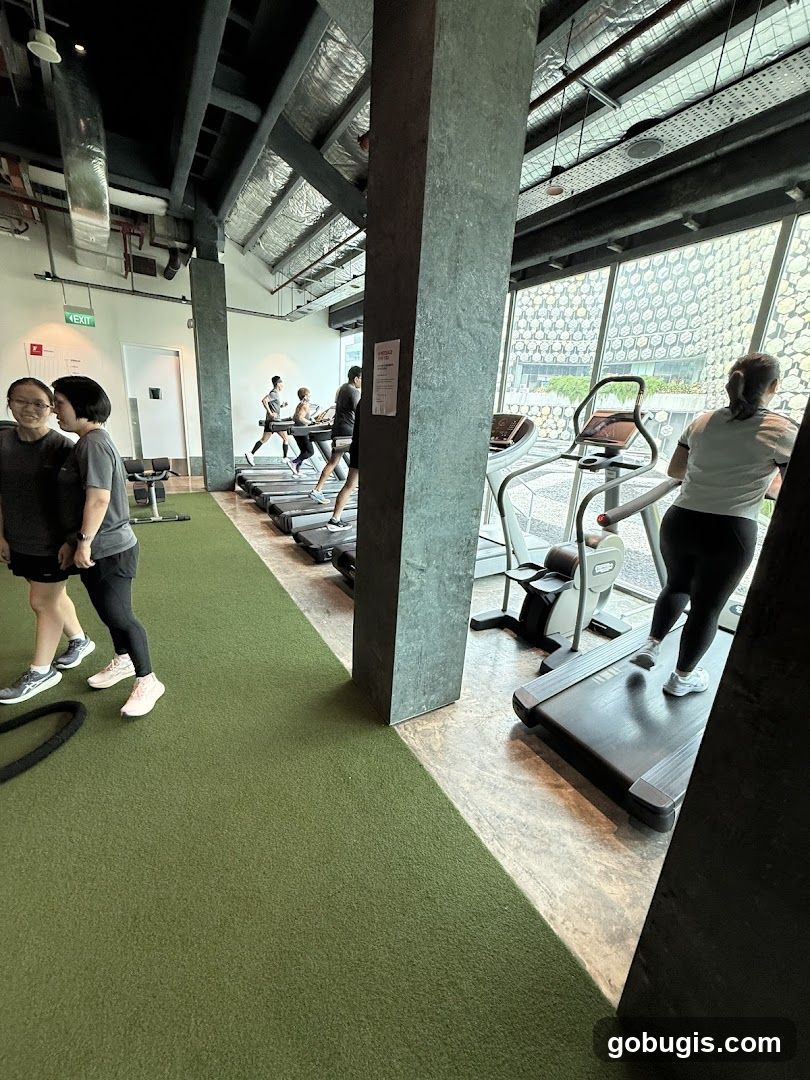 Gym Interior with Treadmills