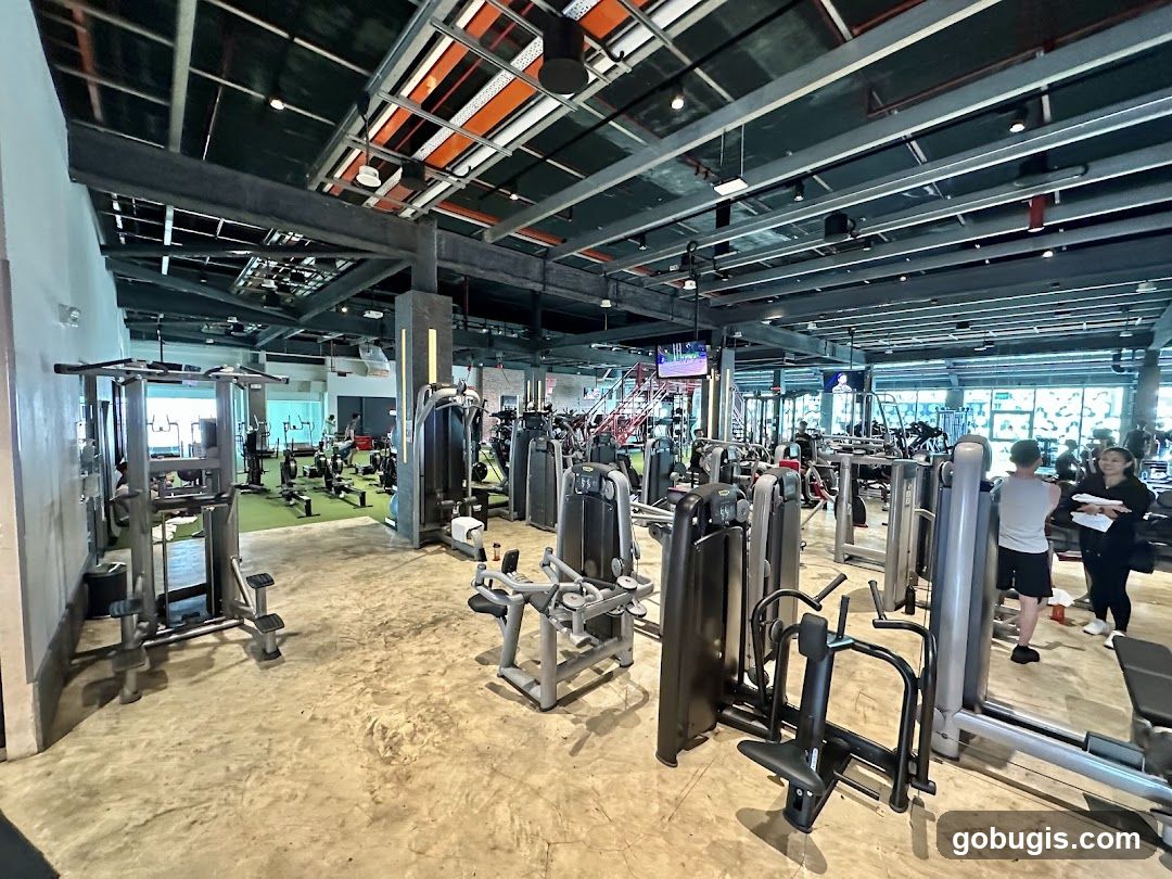 Gym Interior
