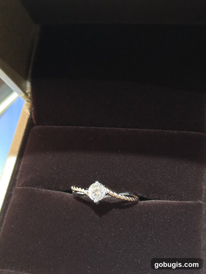 Diamond Ring in Box