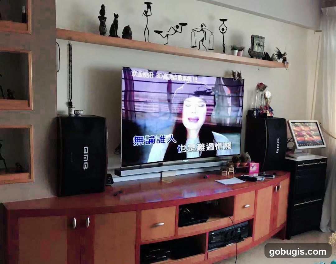 Top Shop Electronics Karaoke Systems