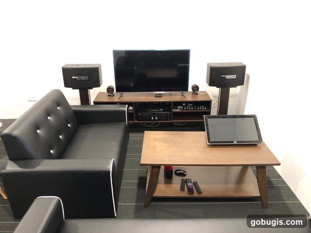 Home theater setup