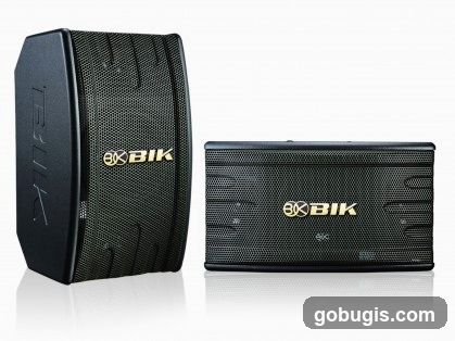 Two BIK Speakers