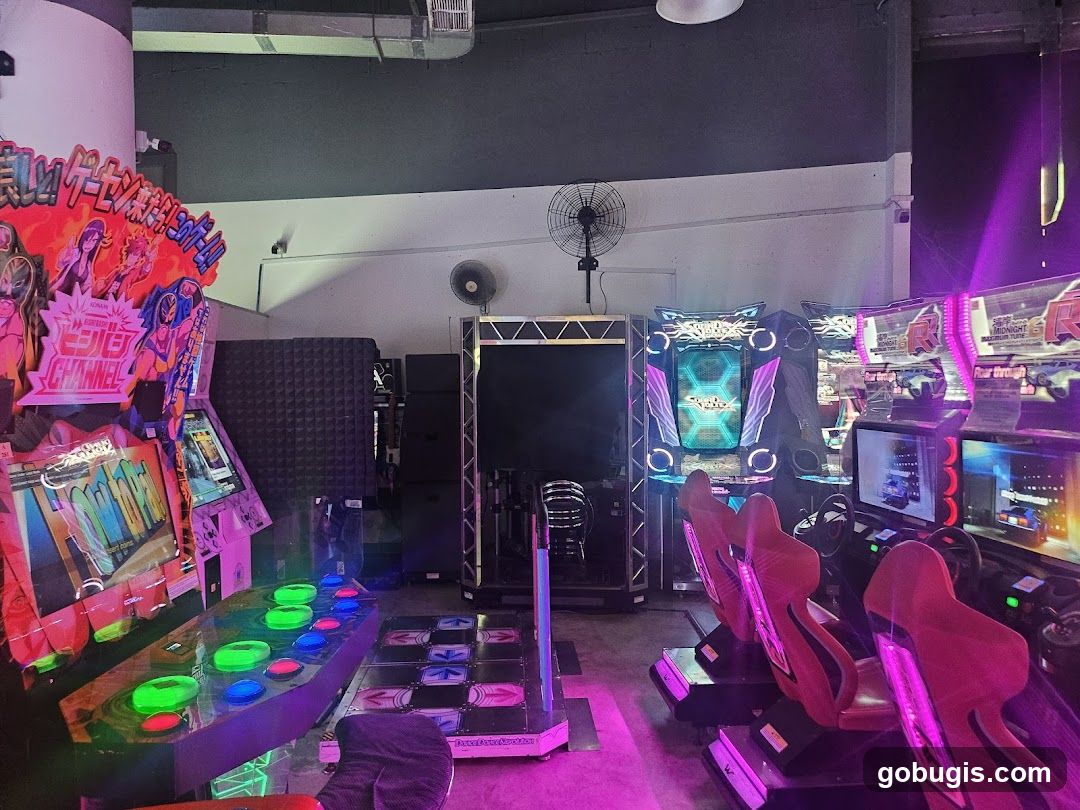 Arcade with Dance and Racing Games
