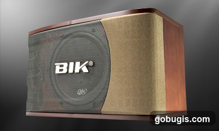 BIK Speaker