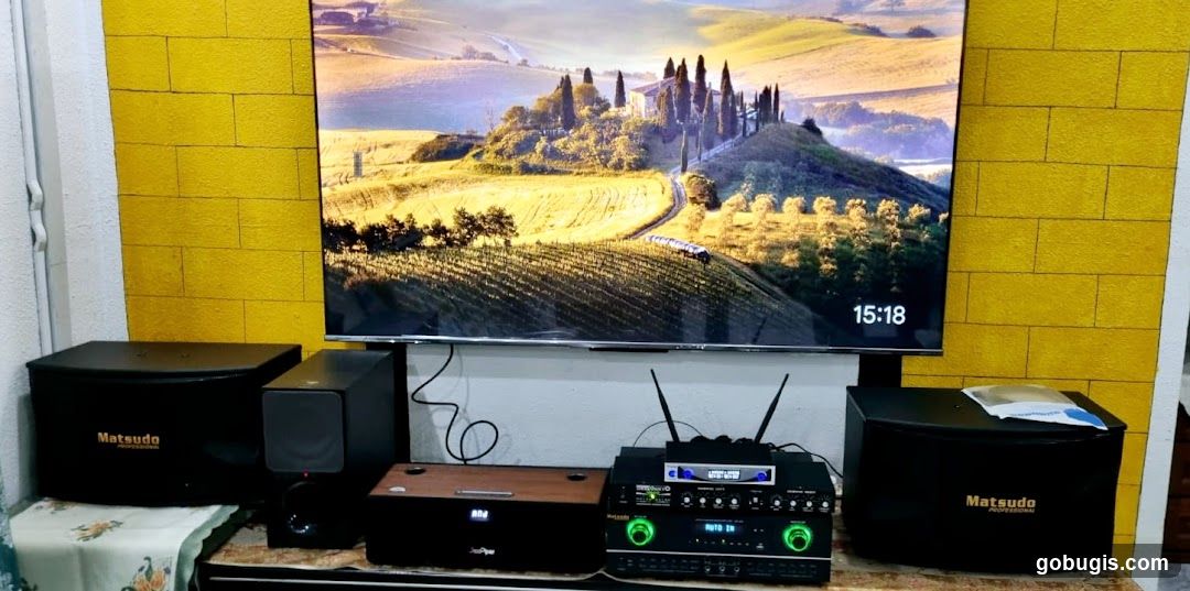 Home Entertainment Setup