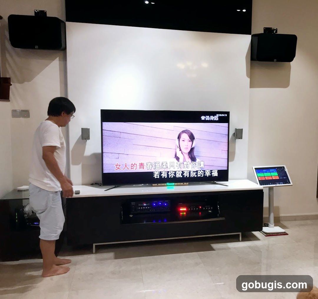 Home Karaoke Setup