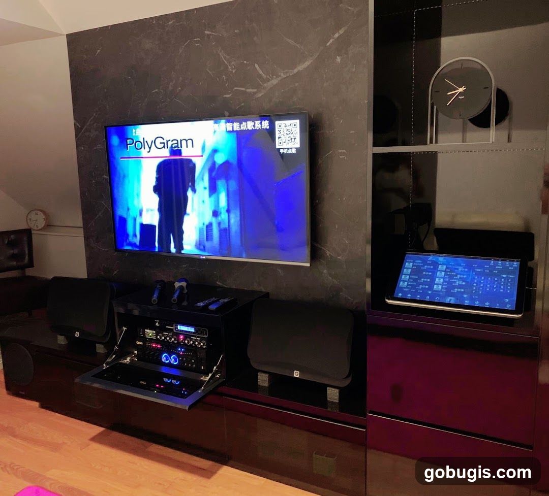 Home Entertainment System