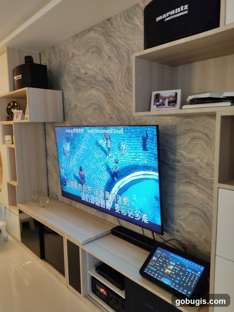 Entertainment Setup