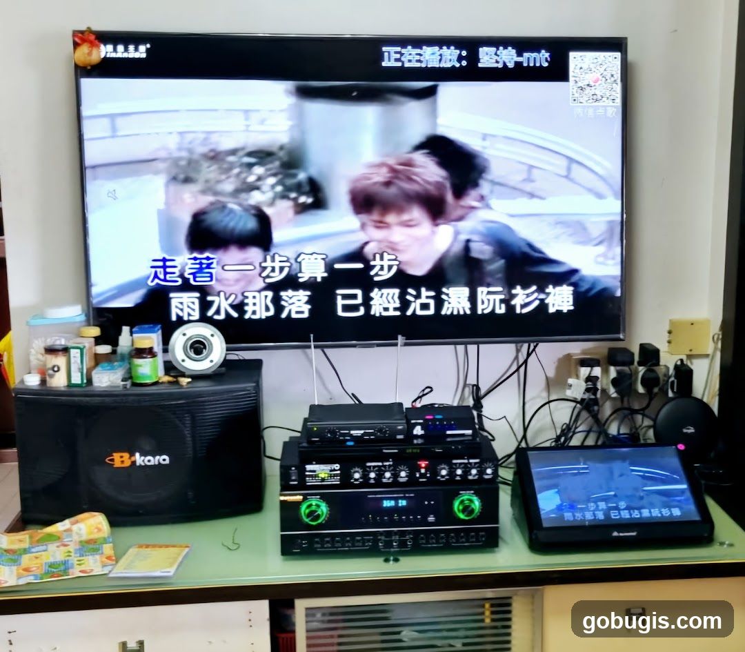 Karaoke Setup