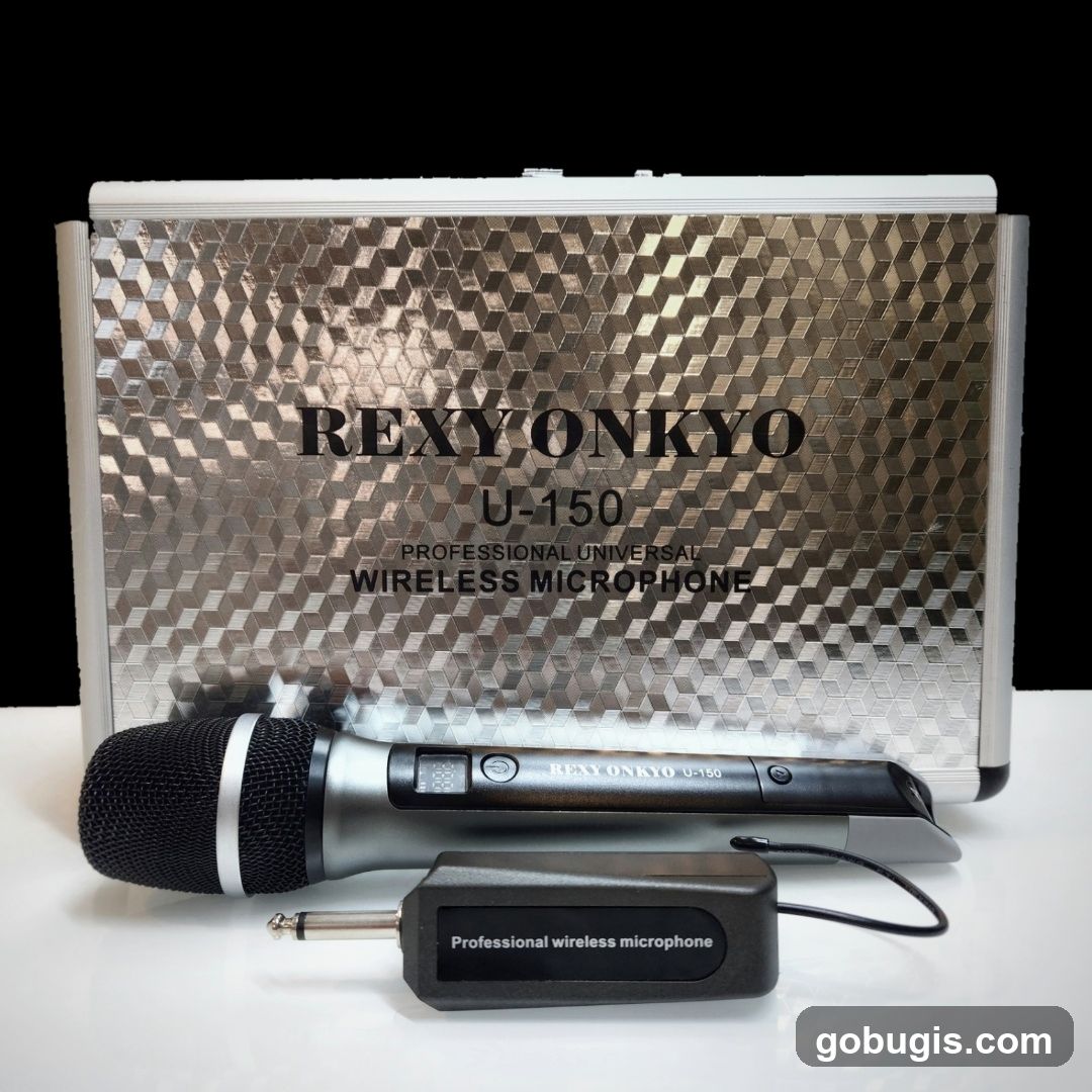 Wireless Microphone Set