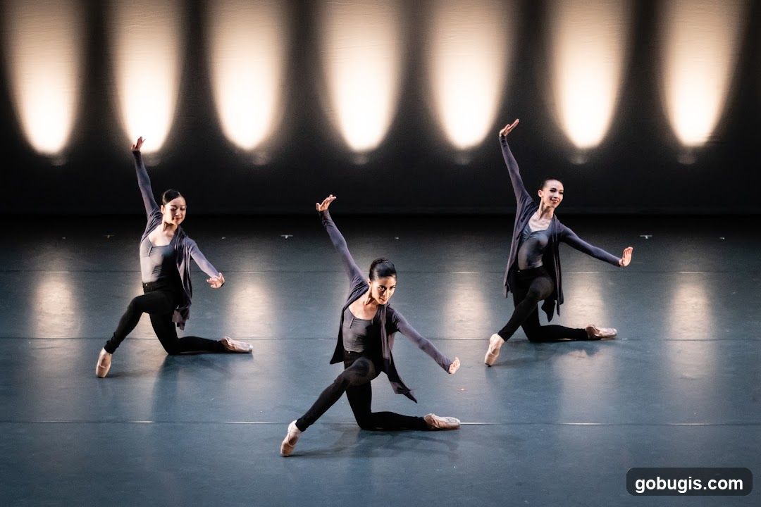 Singapore Ballet Ltd