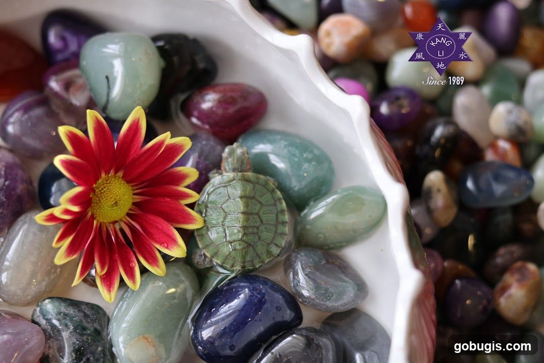 Turtle and Flower with Gemstones