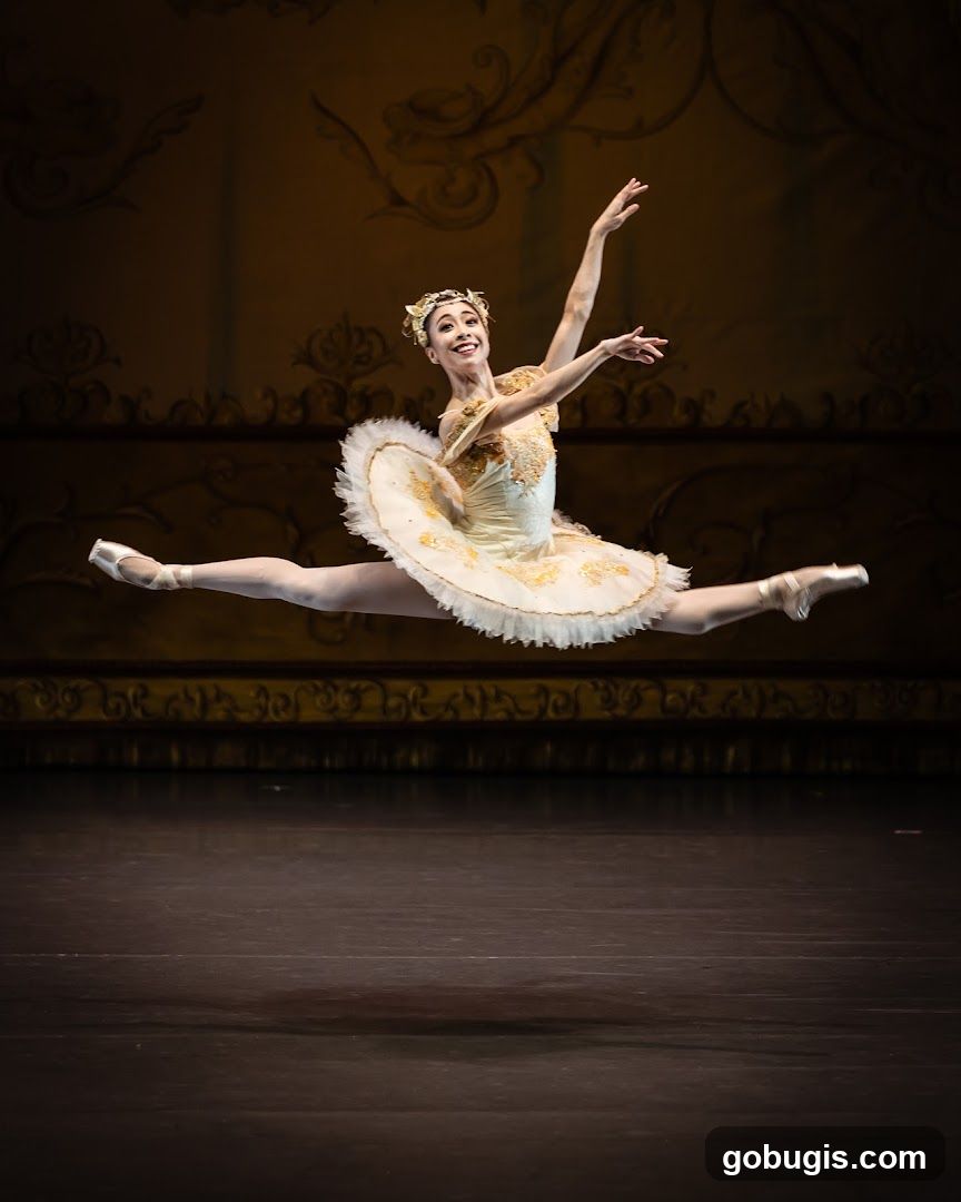 Singapore Ballet Ltd