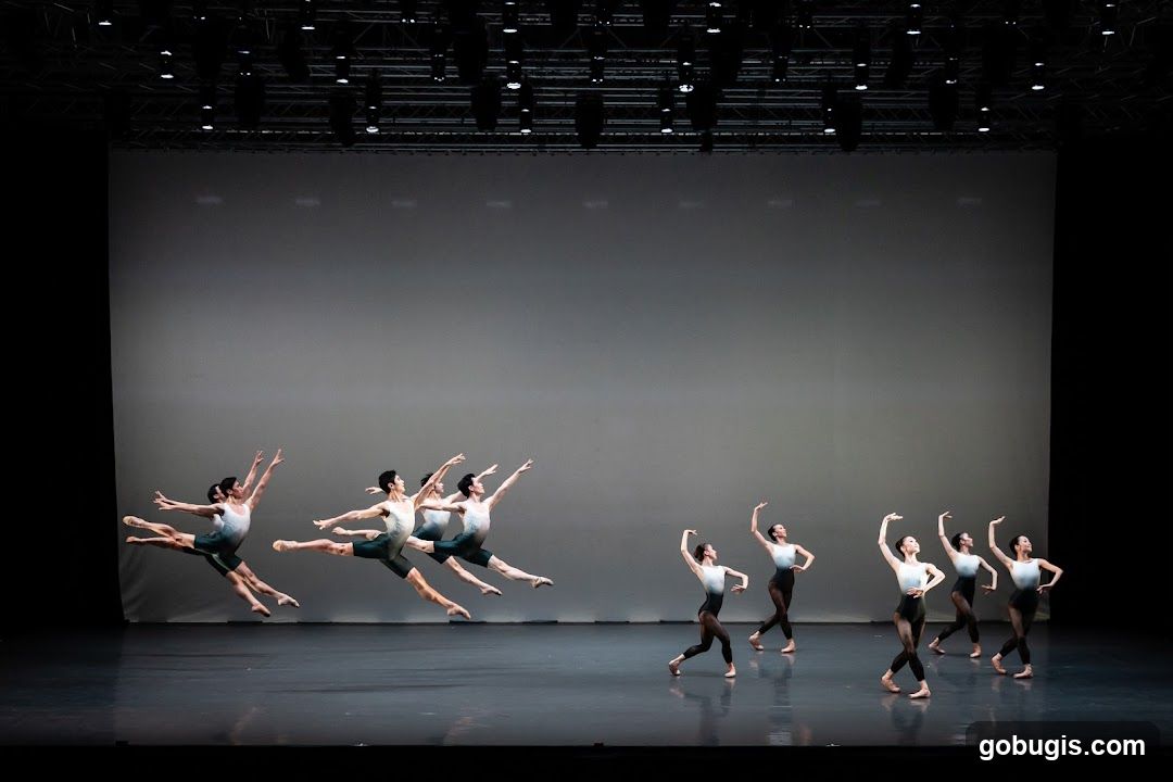 Ballet Performance