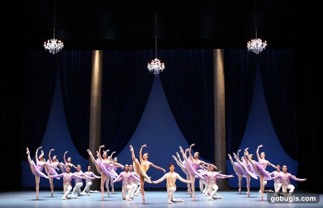 Ballet Performance