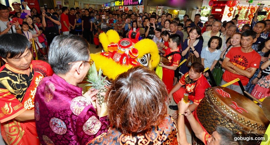 Lion Dance Performance