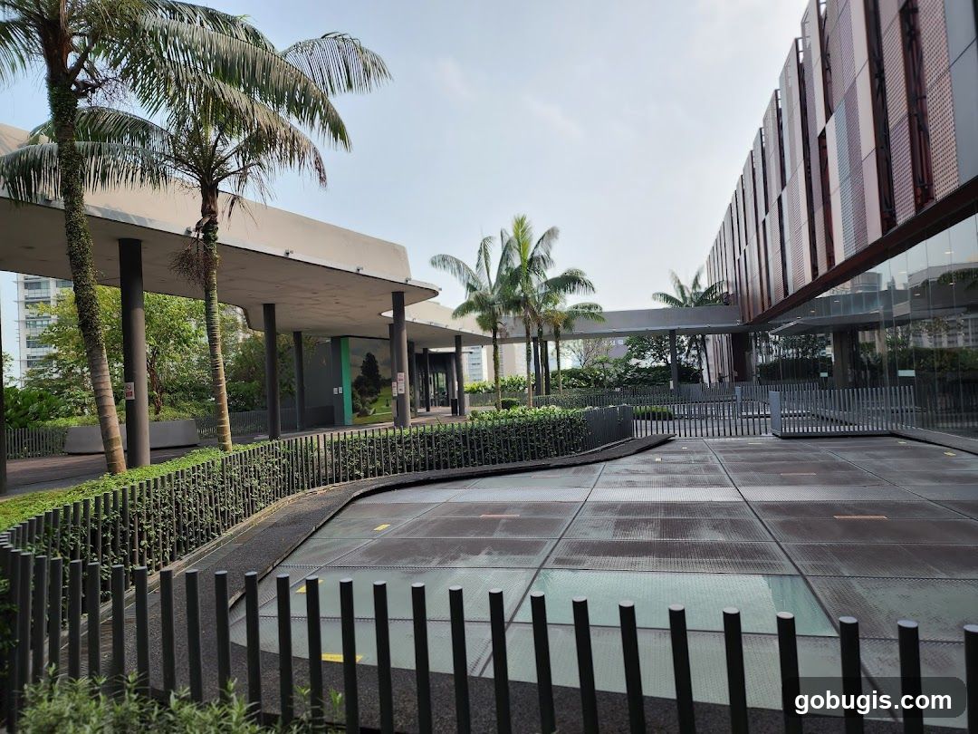 Modern Outdoor Area with Palm Trees and Architectural Building