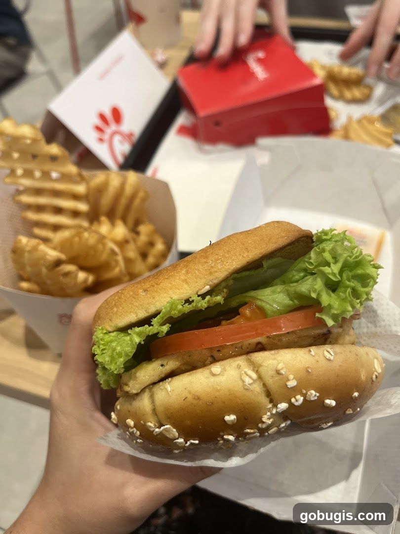 Chicken Sandwich and Waffle Fries